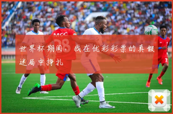 世界杯期间，我在优彩彩票的真假迷局中挣扎