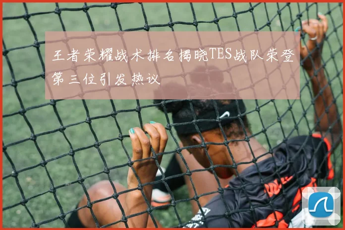 王者荣耀战术排名揭晓TES战队荣登第三位引发热议