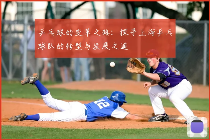 乒乓球的变革之路：探寻上海乒乓球队的转型与发展之道