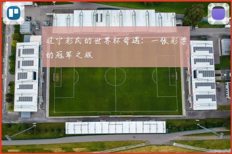 辽宁彩民的世界杯奇遇：一张彩票的冠军之旅