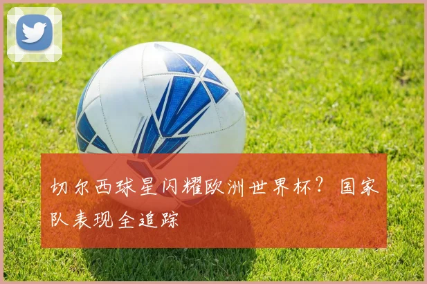 切尔西球星闪耀欧洲世界杯?国家队表现全追踪