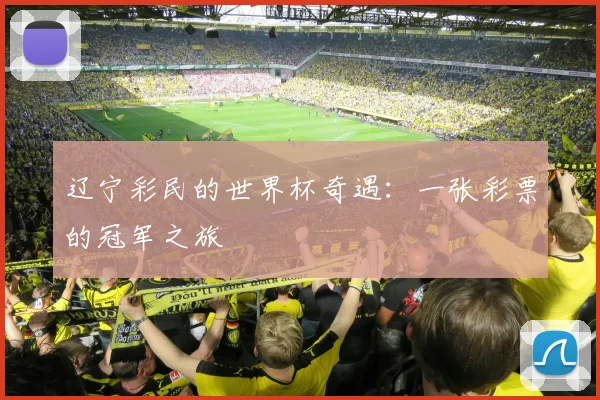辽宁彩民的世界杯奇遇：一张彩票的冠军之旅