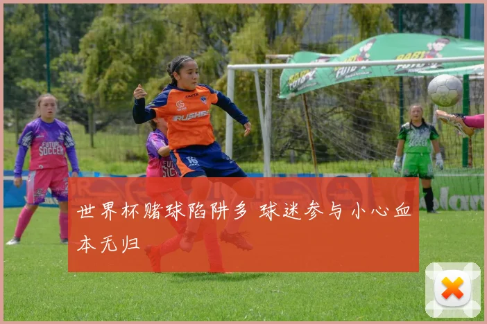 世界杯赌球陷阱多 球迷参与小心血本无归