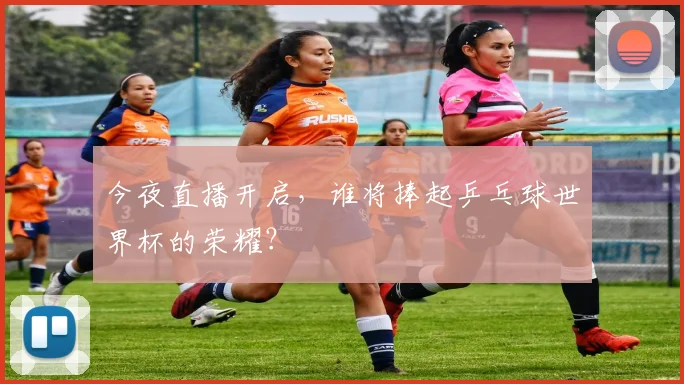 今夜直播开启，谁将捧起乒乓球世界杯的荣耀？